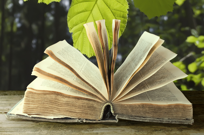 Punto biblioteca lungo il fiume; vieni a prendere in prestito e leggere tante storie all'aria aperta!

 