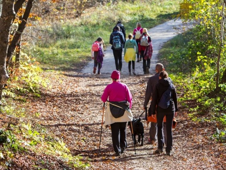 La Città di Ponte San Pietro promuove una nuova giornata con il Gruppo di Cammino, un gruppo di persone che s'incontrano regolarmente per camminare insieme lungo i percorsi del territorio e sotto la supervisione dell'ASL Bergamo.