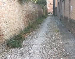Immagine che raffigura AVVISO AI CITTADINI -  DISERBO.