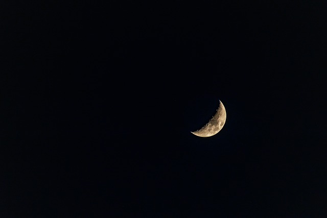 Assegnazione concessioni di posteggio per la “Notte Bianca 2025”