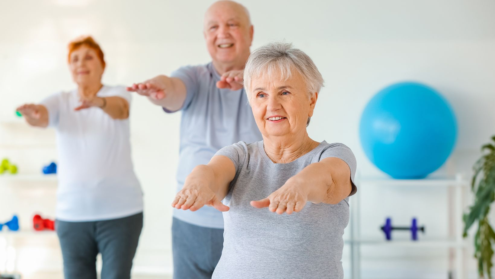 Immagine che raffigura Palestra di vita