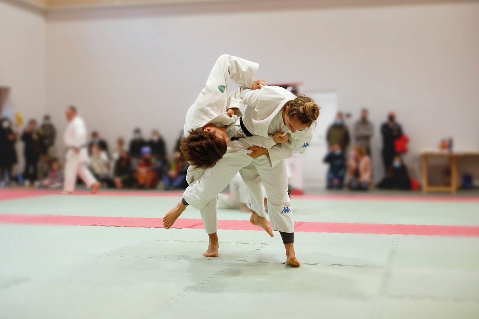 Immagine che raffigura Corsi di judo 2025-2026