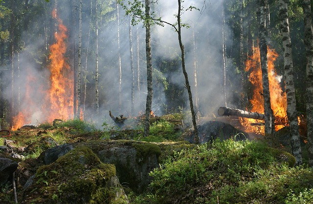Aggiornamento “Catasto delle aree percorse dal fuoco”