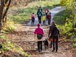 La Città di Ponte San Pietro promuove una nuova giornata con il Gruppo di Cammino, un gruppo di persone che s'incontrano regolarmente per camminare insieme lungo i percorsi del territorio e sotto la supervisione dell'ASL Bergamo.