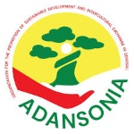 logo associazione : ADANSONIA O.D.V.