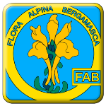 logo associazione : Flora Alpina APS