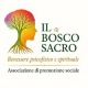 Logo associazione Il Bosco Sacro APS
